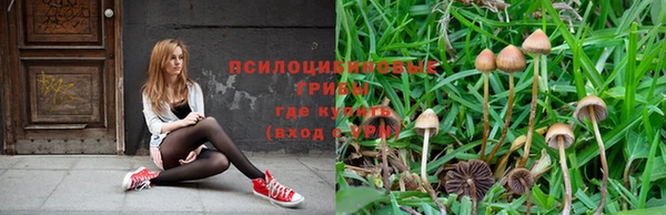 дистиллят марихуана Богородск