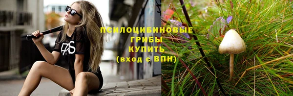 первитин Белокуриха