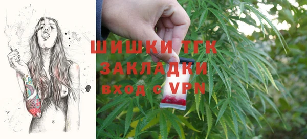 прущие грибы Беломорск