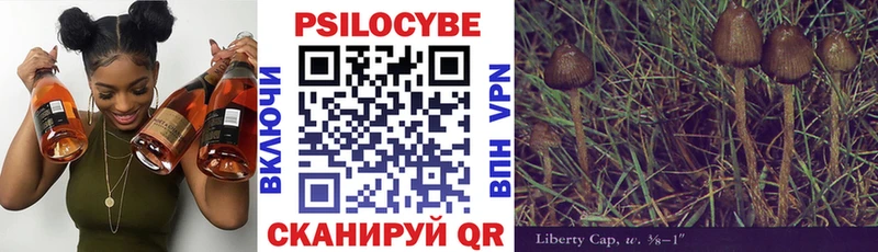 Галлюциногенные грибы Magic Shrooms  Купить где  Железноводск 